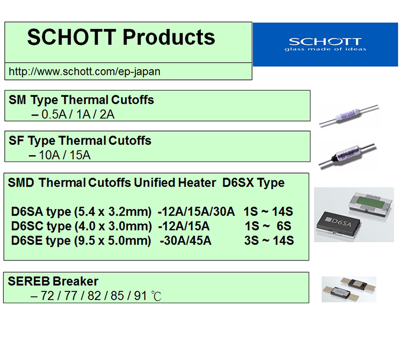 Schott/Battery Fuse